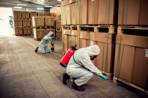 Best Exterminator Services  in Newcastle, OK