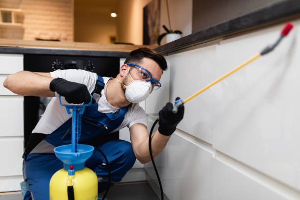Trusted Newcastle, OK Pest Control Experts