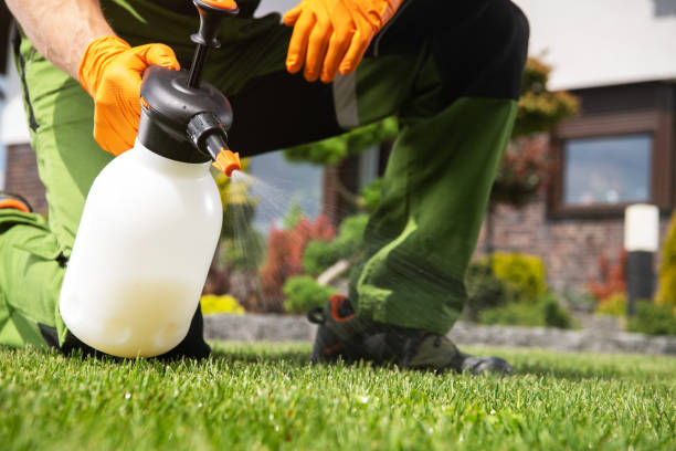 Best Mosquito Control Services  in Newcastle, OK