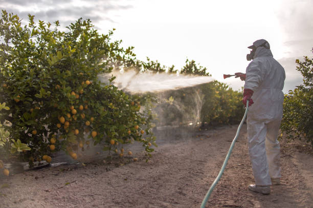 Trusted Newcastle, OK Pest Control Experts