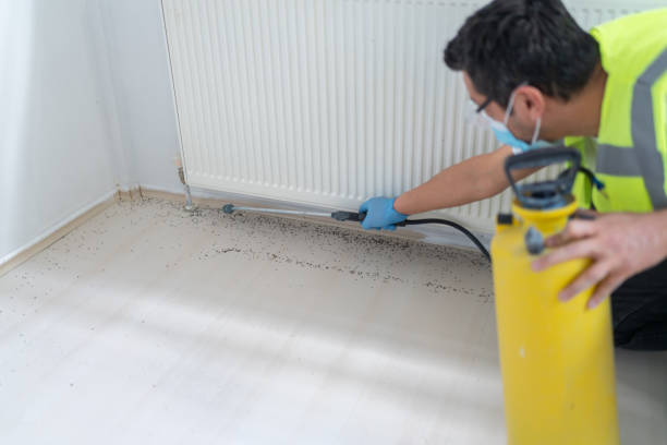 Best Affordable Pest Control Services  in Newcastle, OK