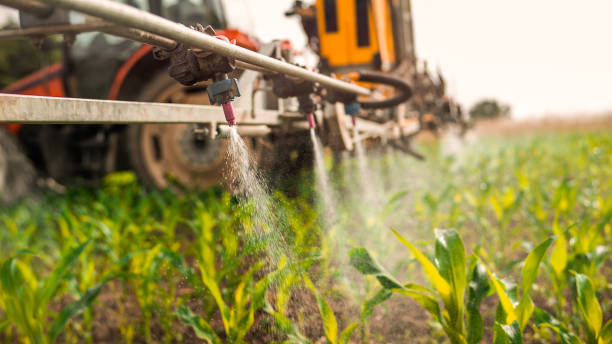 Best Ant Control Services  in Newcastle, OK